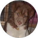 Kato profile picture